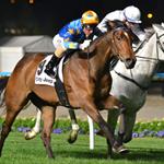 Long Face Grace heads to Pinker Pinker Plate after Moonee Valley win
